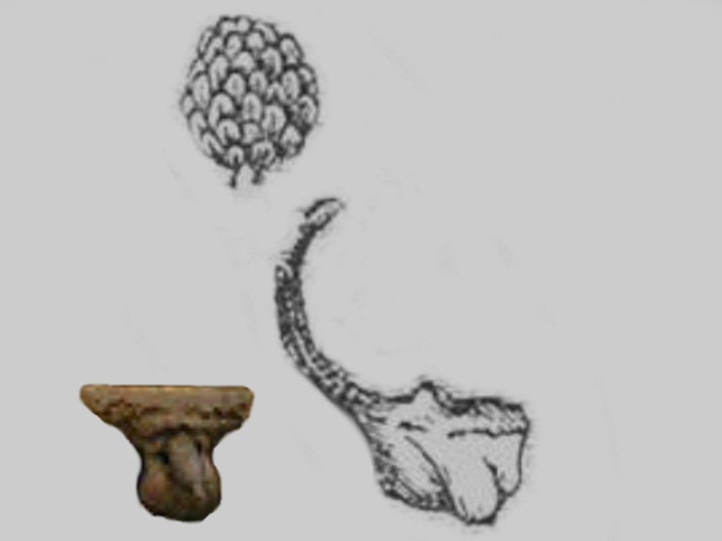 1A_ORIGINAL_PE2.jpg (42229 bytes)