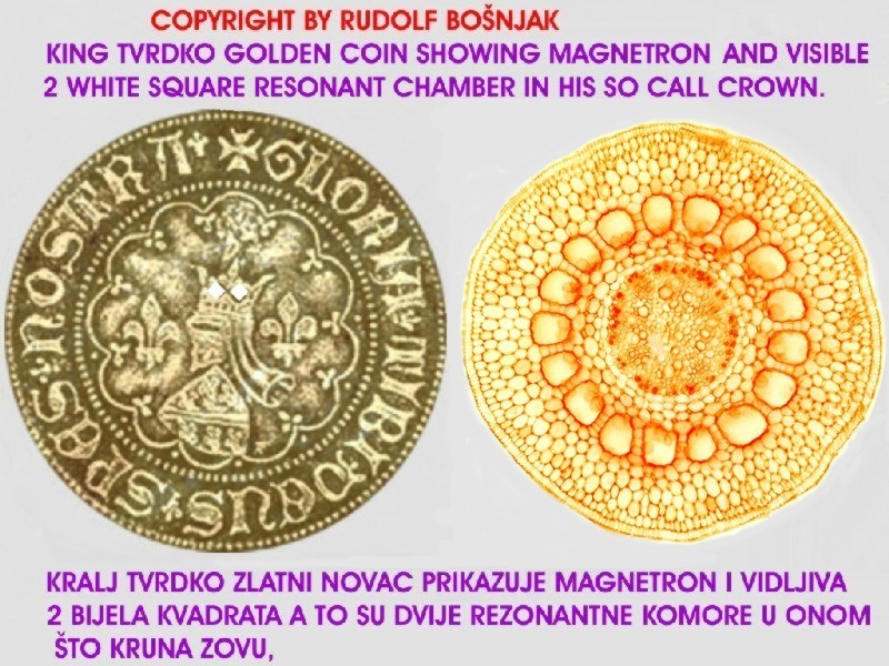MAGNETRON_TVRDKO_RESONANT_CHAMBER_GOLDEN_COIN1_CELL.jpg (180805 bytes)