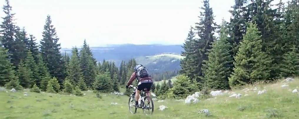 BEV BIH BIKE FOREST